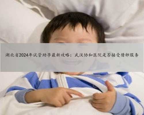 湖北省2024年试管助孕最新攻略：武汉协和医院是否接受借卵服务