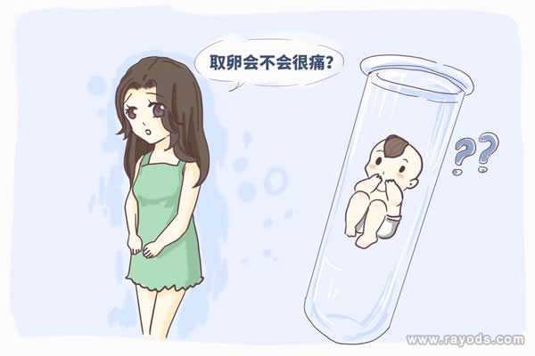 杭州试管代怀生女,试管婴儿取卵时疼吗?取卵前后
